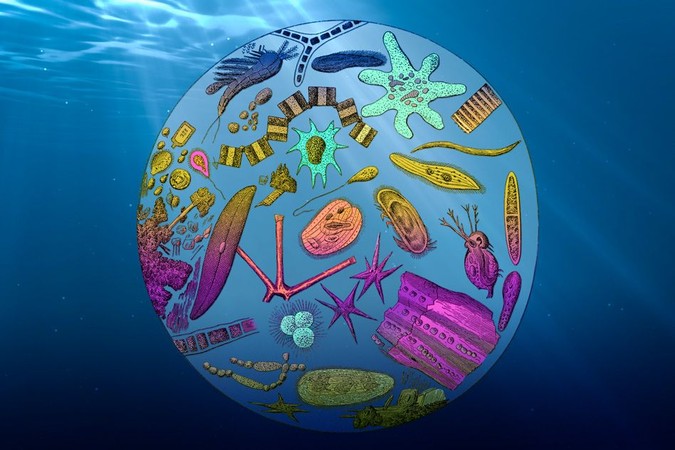 MIT-OceanCarbon.jpg