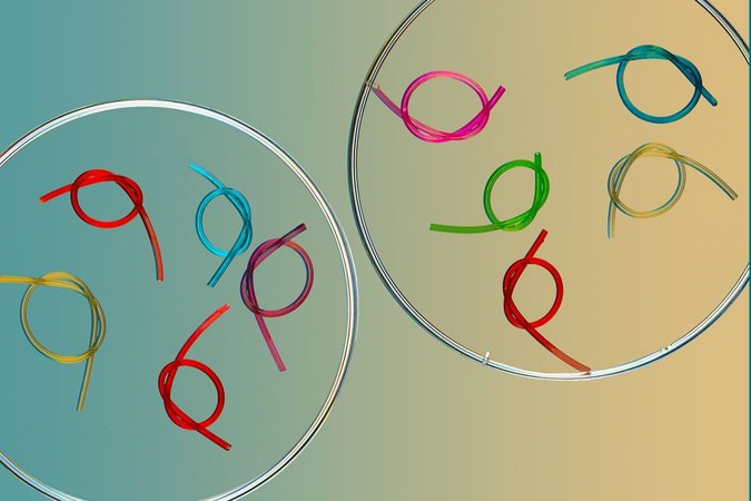 MIT-Hydrogel-Lam.jpg