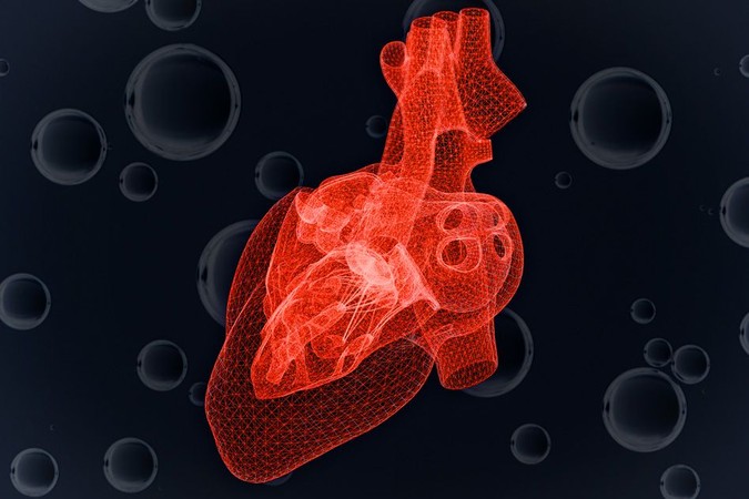 MIT-Cardiac-Muscle.jpg