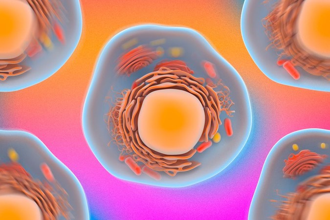 MIT-Cell-Moves-1.jpg