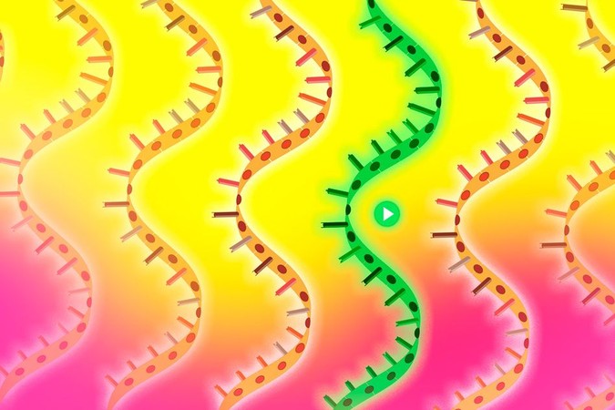 MIT-parkinsons-genes.jpg