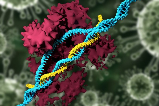 MIT-Nonviral-CRISPR.jpg