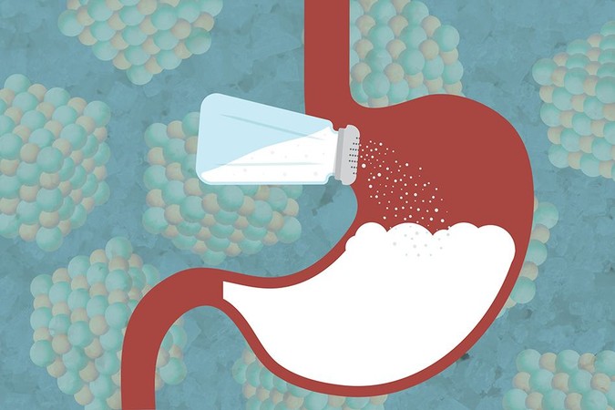 MIT-Salt-Microbiome.jpg