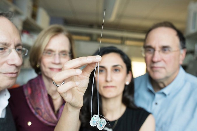 MIT-Brain-Drug-Delivery-A1.jpg