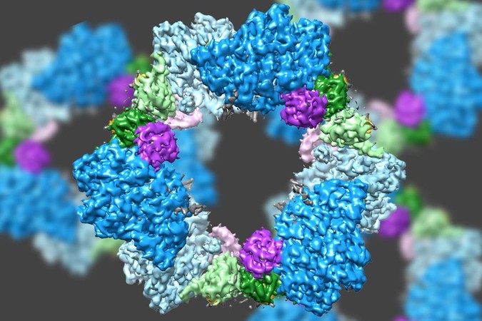 MIT-Enzyme-Structure.jpg