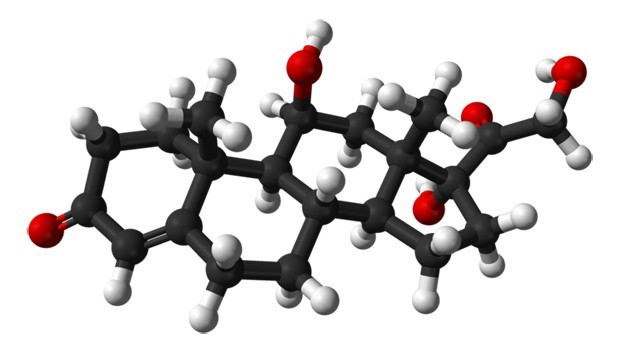 Cortisol_wikipedia.jpg