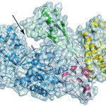 embl-p300_1.jpg