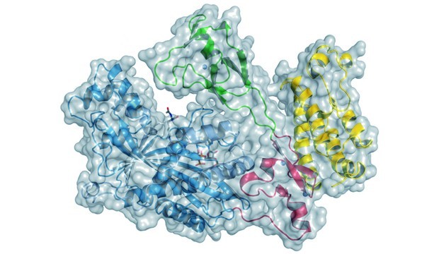 embl-p300_cover1_1.jpg