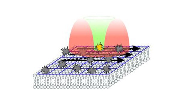 molecule_movement_1.jpg