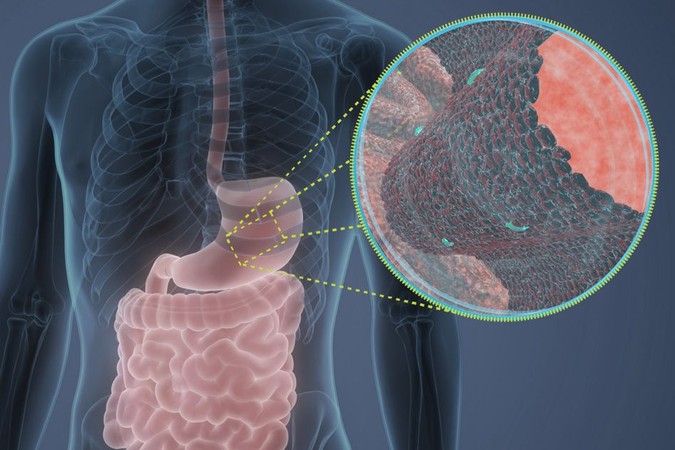 MIT-Antimicrobial-Peptides.jpg