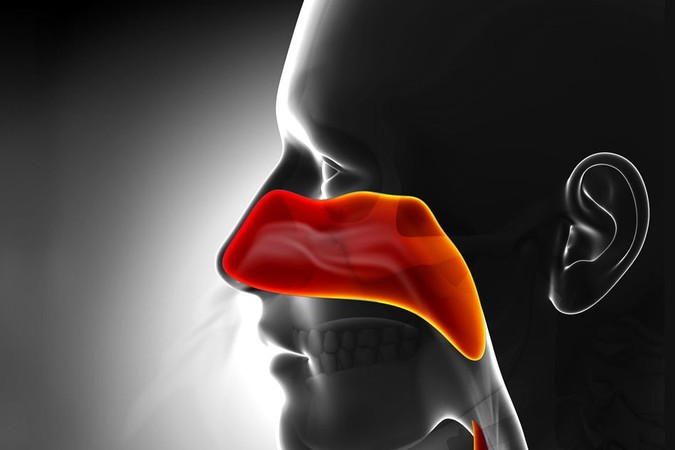 MIT-Allergy-Inflamation.jpg
