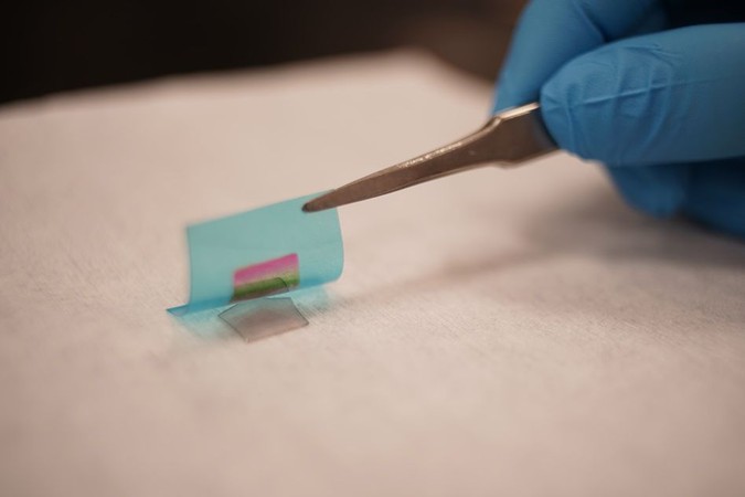 MIT-Transpararent-Graphene.jpg