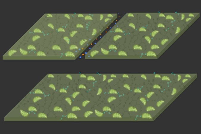 MIT-Carbon-Absorbers.jpg