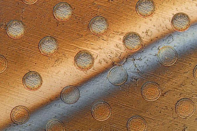 MIT-Autoperforation.jpg