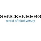 Senckenberg Gesellschaft für Naturforschung