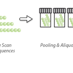 pepmix.jpg