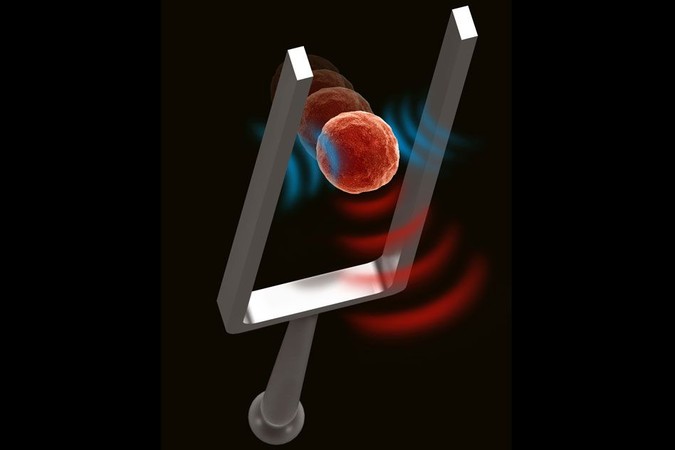 MIT-Cell-Stiffness_0.jpg