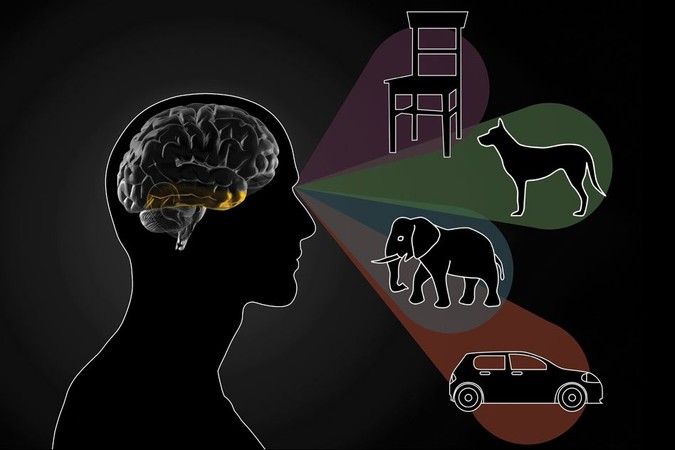 MIT-Object-Recognition.jpg