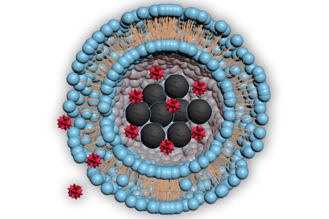 MIT-Nanomaterial-Drug-Delivery-01.jpg