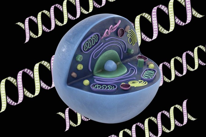 MIT-CRISPR.jpg