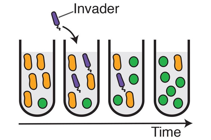 MIT-Transient-Invaders-01.jpg