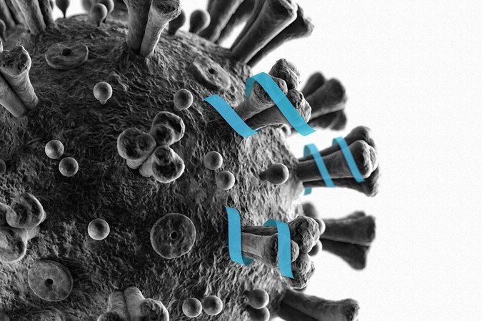 MIT-Covid19-Drug-01.jpg