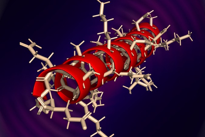 bee-silk-protein.jpg