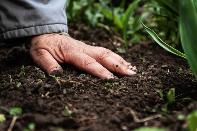MIT-Cheap-Fertilizer-01.jpg