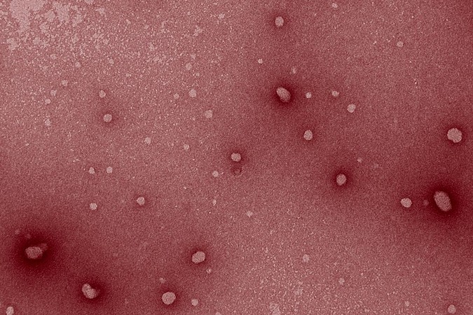 MIT-Cancer-Immunotherapy-01.jpg