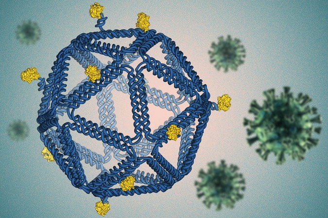 MIT-DNA-Vaccine-01.jpg