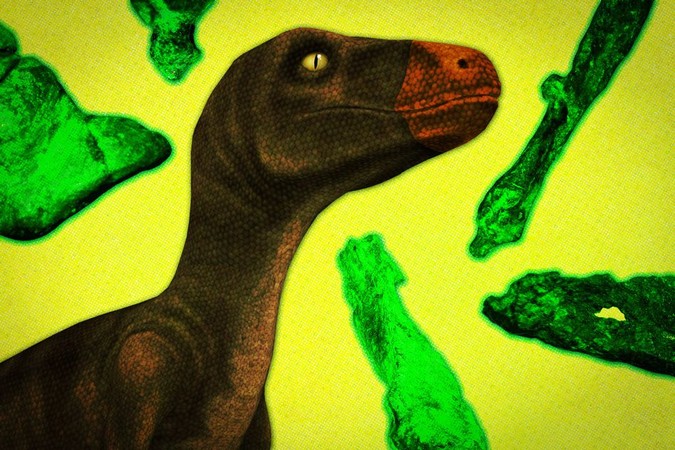 MIT-Dino-Time-01.jpg