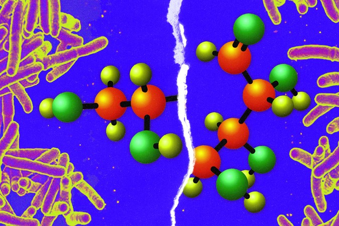 MIT-Antibiotic-Susceptibility-01-press_0.jpg