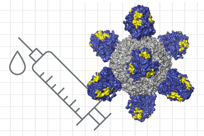 MIT-Flu-Vaccine-01-PRESS.jpg
