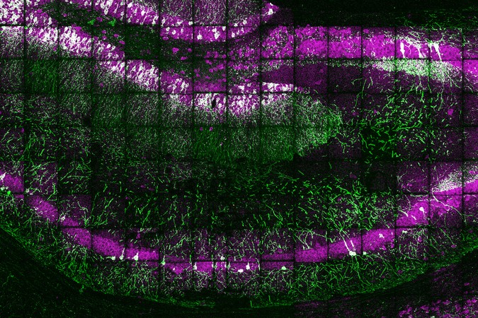MIT-Expansion-Sequencing-01-press.jpg