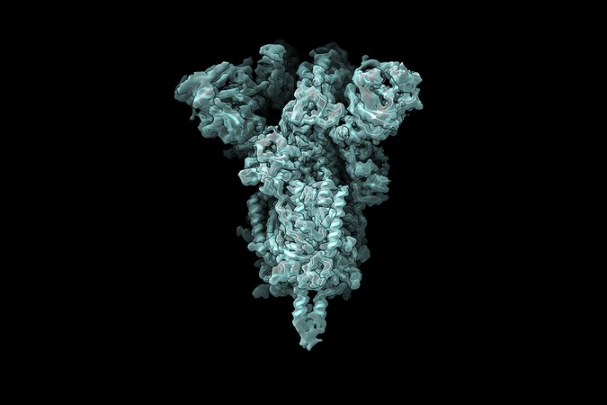 MIT-Molecular-Structure-01press.jpg