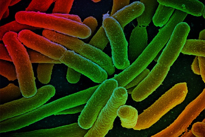 MIT-Antibiotic-Resistance-01.jpg