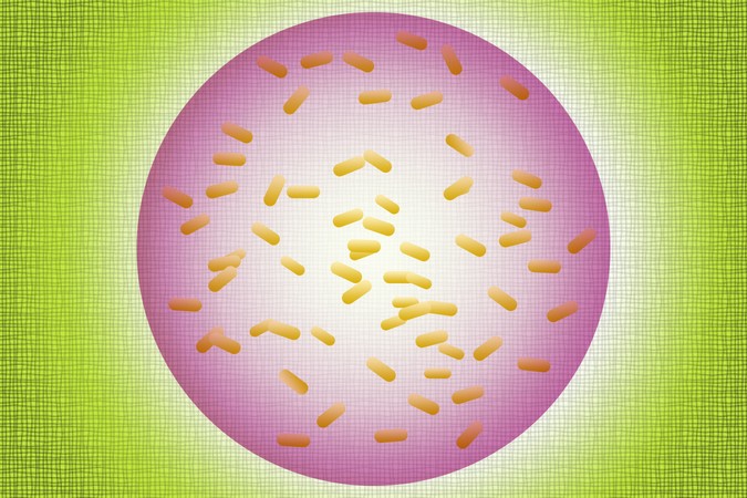 MIT-Bacteria-Containment-01-PRESS.jpg