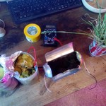 Photosynthetic electricity.jpg
