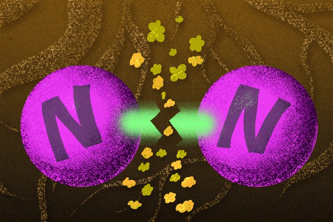 MIT-Nitrogen-bonds-press.jpg