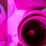 IMG_20210621_160457.jpg