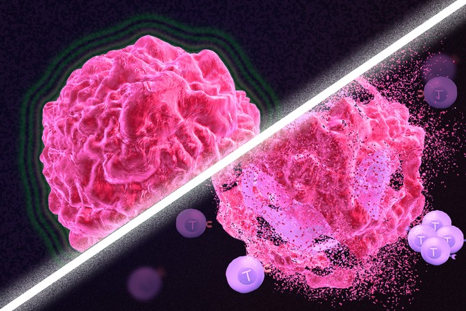 MIT-Cancer-Injury-01-press.jpg