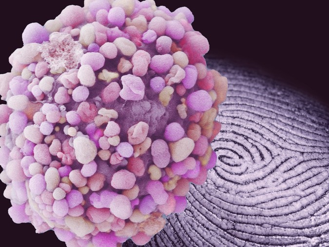 MIT_Cell-Fingerprints-01-PRESS.jpg