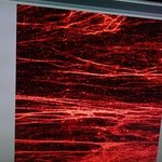 bad fibers red.jpg