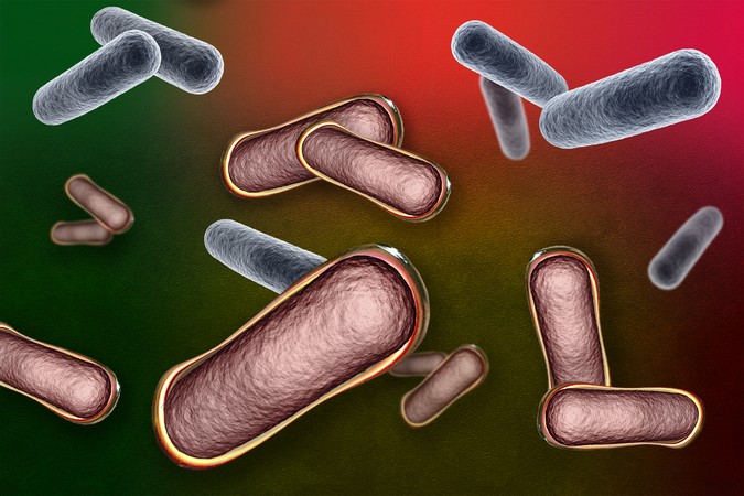 MIT-Bacterial-Coating-01-PRESS.jpg