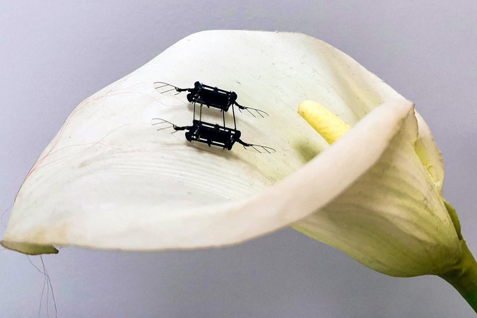 MIT-Micro-Robot-Actuator-01-PRESS.jpg