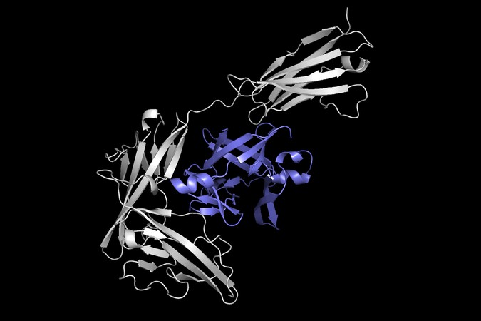 MIT_Protein-Docking-01-PRESS.jpg