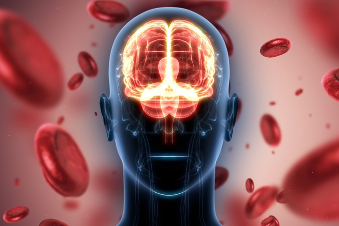 MIT-Cerebrovascular-Cells-01-press.jpg