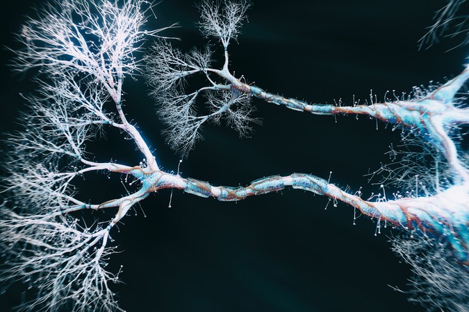 MIT-Dendrite-computation-01.jpg