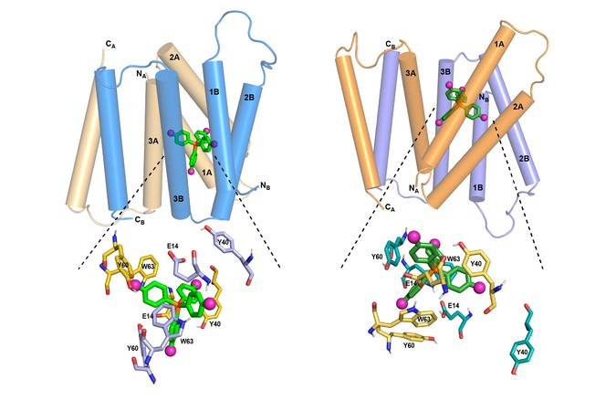 MIT-Resistance-Mechanism-01-PRESS.jpg