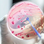 Isolation-Cultivation-of-Specific-Bacteria-picture-1.jpg